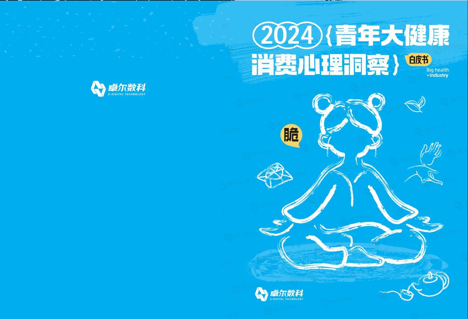 2024青年大健康消费心理洞察白皮书